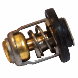 Termostat till Mercury MFS8 MFS30