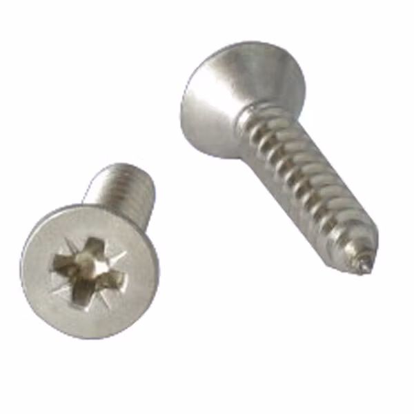 Skruv 3,9 x 16 för nylonschackel