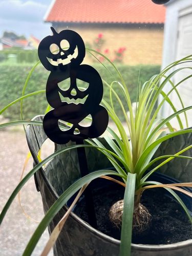 Blompinne/Caketopper Pumpor