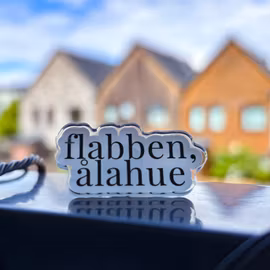Pin - Flabben ålahue