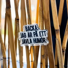 Pin - Backa