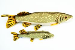 Gädda - 25/43/80 cm - Gosedjur - Orginalet -