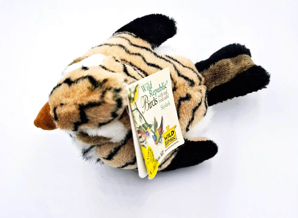 Sånglärka - Sjungande Fågel -