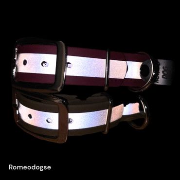 Reflexhalsband  Biothane Ställbart  19,25mm