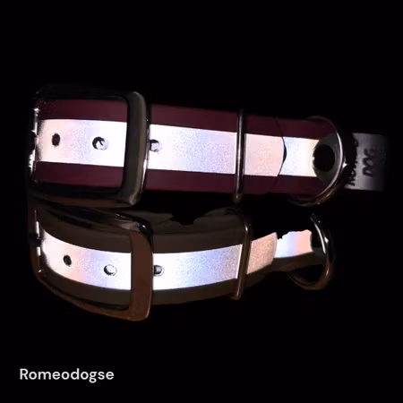 Reflexhalsband  Biothane Ställbart  19,25mm