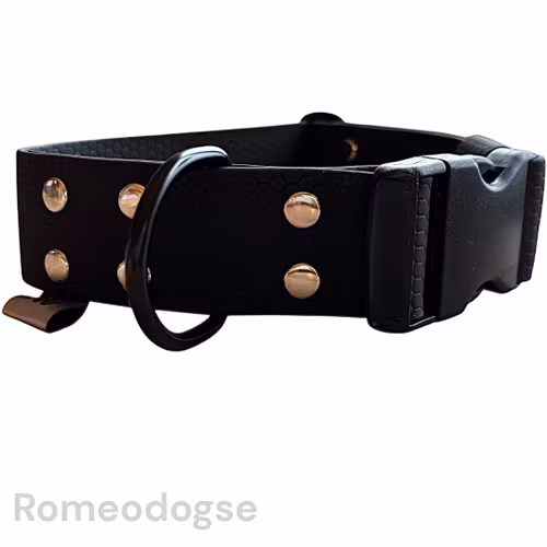 Hundhalsband Vilgot Fast 40mm Svart
