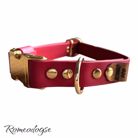 Hundhalsband Biothane Elegant 16,19,25mm
