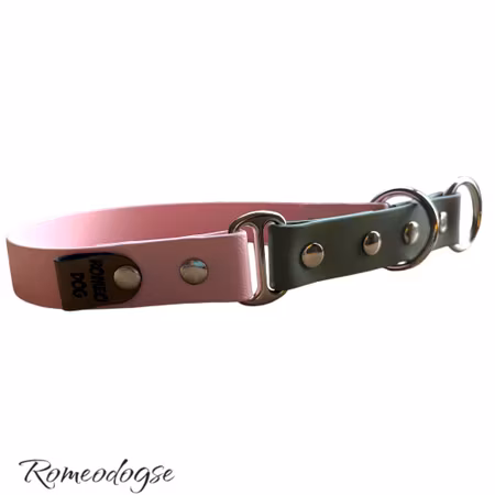 Hundhalsband Biothane Halvstryp  16,19,25mm