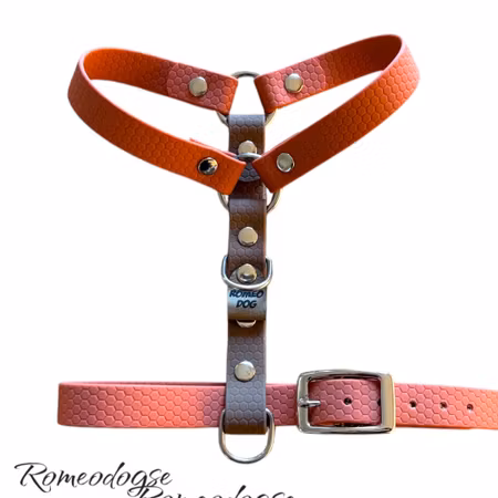 Sele Guard Hexa Ställbart 20,25mm