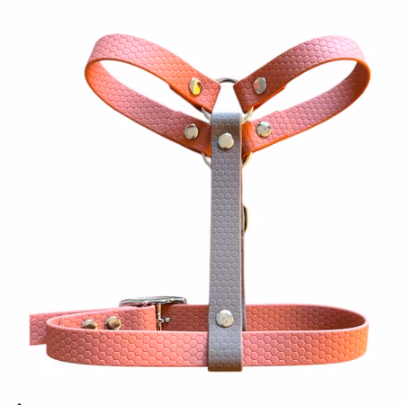 Sele Guard Hexa Ställbart 20,25mm