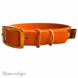 Hundhalsband Tage Ställbart 16,20,25mm