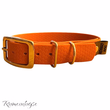 Hundhalsband Hexa Ställbart 16,20,25mm