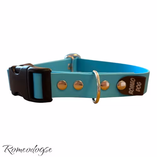 Hundhalsband Romeo 16,19,25mm