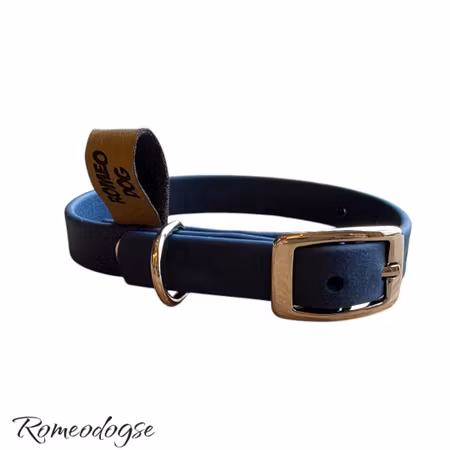 Hundhalsband Biothane Ställbart 13mm