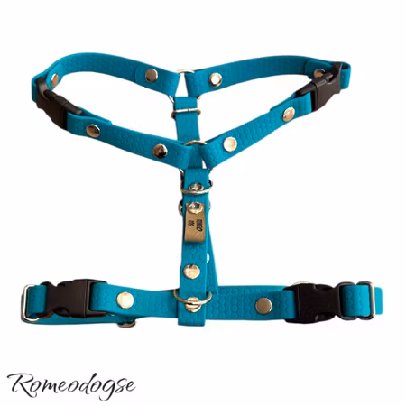 Sele Guard Hexa 16,20mm