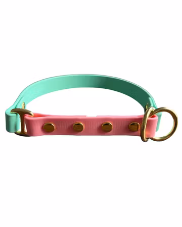 Hundhalsband Biothane Halvstryp  16,19,25mm