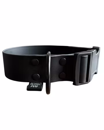 Hundhalsband Biothane FAST 38mm