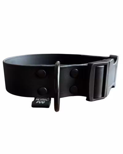 Hundhalsband Zacke FAST 38mm