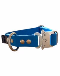 Hundhalsband Safe 16,19,25mm