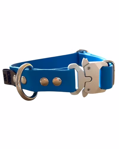 Hundhalsband Safe 16,19,25mm
