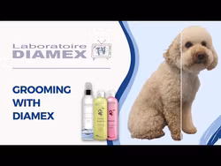 Diamex Diano Special Shampoo