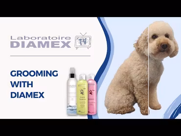 Diamex Diano Special Shampoo