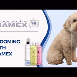 Diamex Diano Special Shampoo