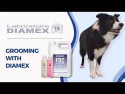 Diamex mister fresh