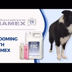 Diamex mister fresh