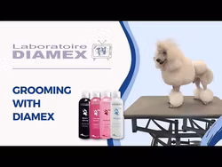 Diamex Volume boost shampoo