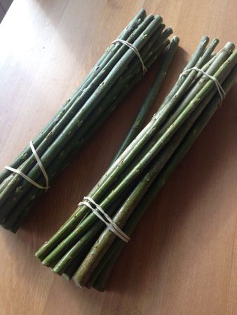 Biodlingsmix av Salix, Stickling    100 st