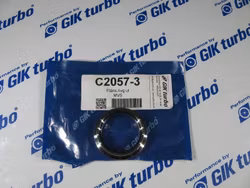 TiAL MVS Rostfri V-Band Fläns ut