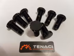 Tenaci Flywheels Bolts - BMW M60; M62 9 pcs