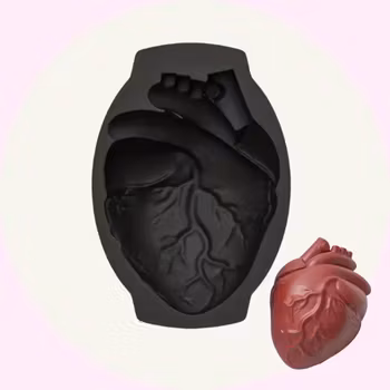 Silikonform Anatomiskt Hjärta – Sockerkaka & Moussekakor för Halloween - Baka med Alma