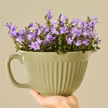 Vispskål / Bakskål – Mynte Wasabi – IB Laursen - Perfekt för Barn & Bakglädje