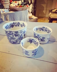 Skålset från engelska Wedgwood