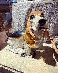 Hund (endast avhämtning/speciell frakt)
