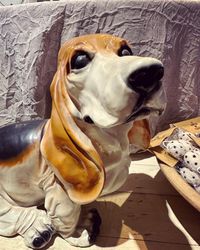 Hund (endast avhämtning/speciell frakt)