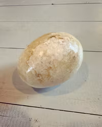 Stenägg ljust