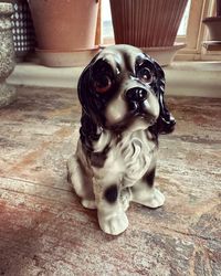 Hund