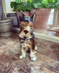 Hund