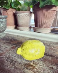 Citron keramik