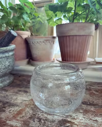 Glasskål