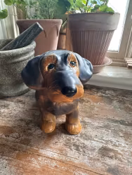 Hund