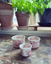 Engelskt skålset rött/vitt Wedgwood