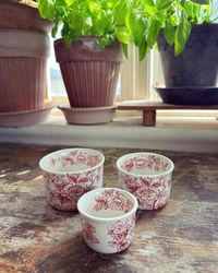 Engelskt skålset rött/vitt Wedgwood