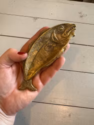 Fisk