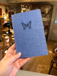 Bok ”insekter i färg”