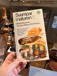 Svampbok 1