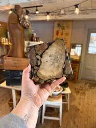 Underlägg sten/fossil